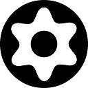 Bit Torx BO z otworem