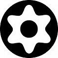 Bit Torx BO z otworem