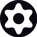 TORX z otworem