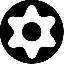 Wkrętak torx bo z otworem