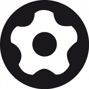 Bit IPR TORX PLUS® z otworem