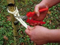 Nożyczki uniwersalne proste ERDI BESSEY D48 - 2