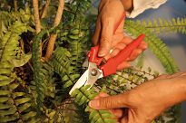 Nożyczki uniwersalne proste ERDI BESSEY D48 - 4