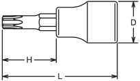 Nasadka 25IP trzpieniowa TORXPLUS 60 KOKEN - 2