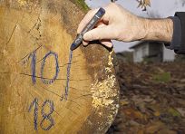 Kreda niebieska seria pro PICA 590/41 - 4