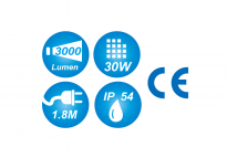 Lampa naświetlacz LED (zasilanie 230V) KING TONY 9TA42A - 4