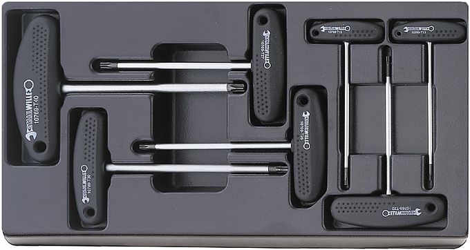 Zestaw ABS 1/3 wkręt.TORX T10-T40 z otw. prowadz. i Uchwytem typu T; 7-Częściowy ES 10769B/7 STAHLWILLE 96838129